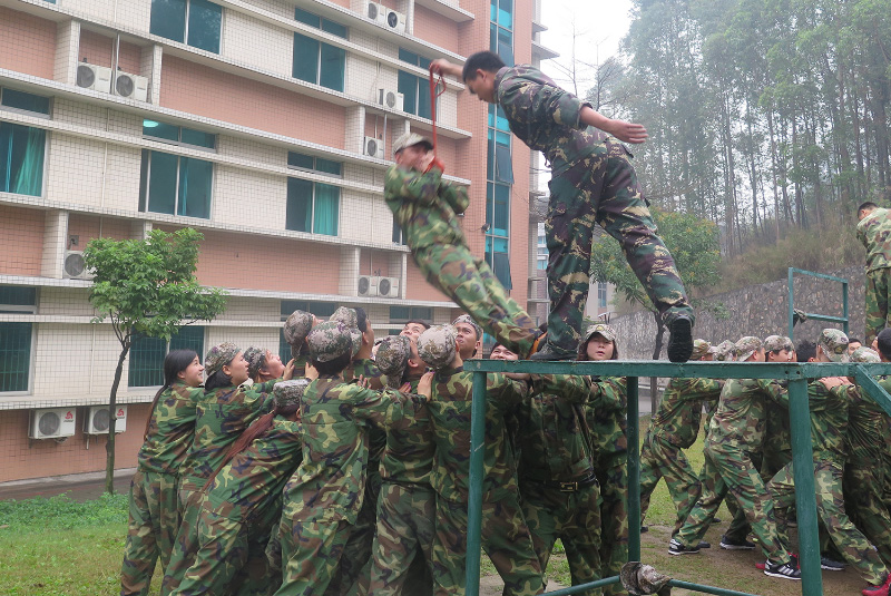 2017�괺��������չӖ��