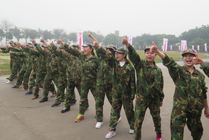 2017�괺��������չӖ��